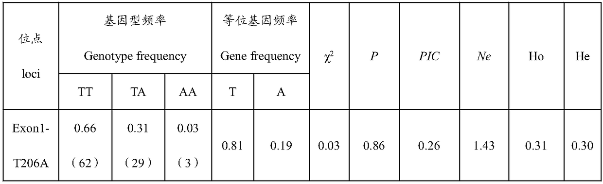 Method for detecting fecundity of alpine Merino sheep based on INHA gene