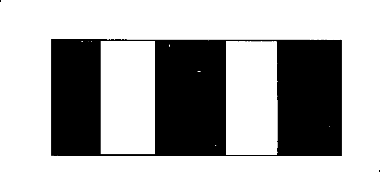 False proof thin film and producing method thereof