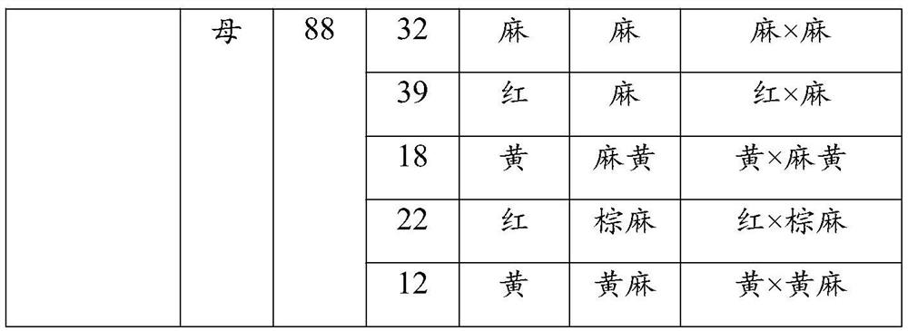 Chicken feather color character related gene MC1R molecular marker and application thereof