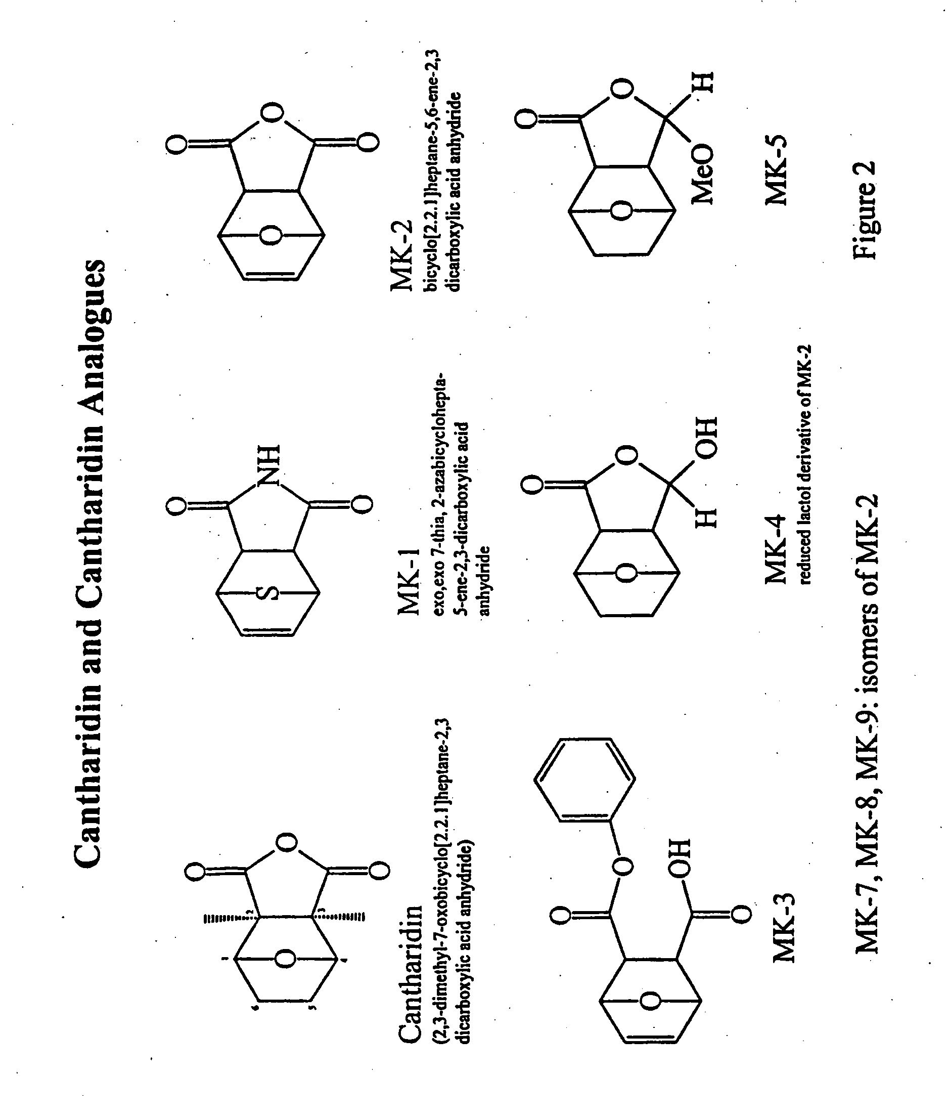 Anhydride modified cantharidin analogues useful in the treatment of cancer