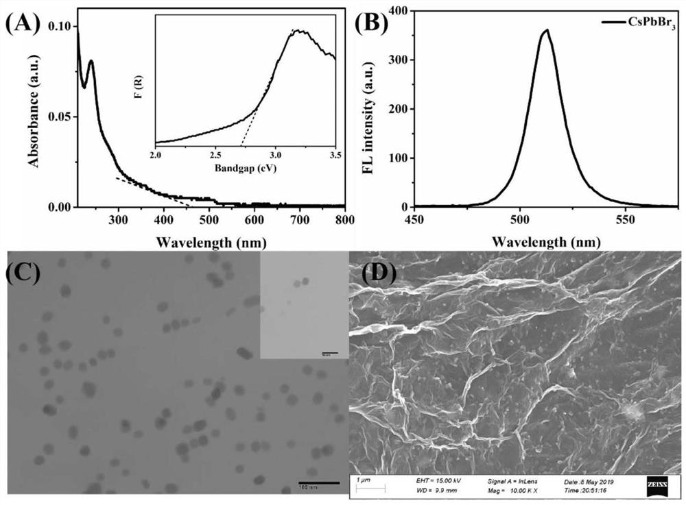 Based on cspbbr  <sub>3</sub> Molecularly imprinted photoelectrochemical sensor with /go homotype heterostructure and its preparation method and application