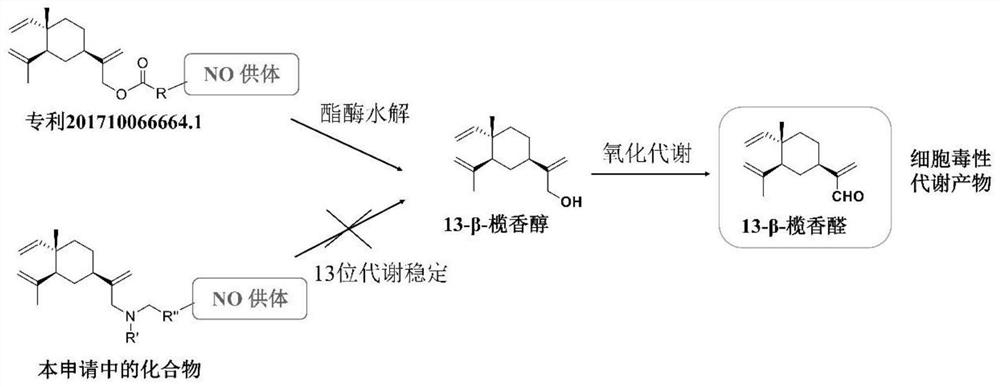 14-chloro-beta-elemene nitric oxide donor type derivative as well as preparation and application thereof