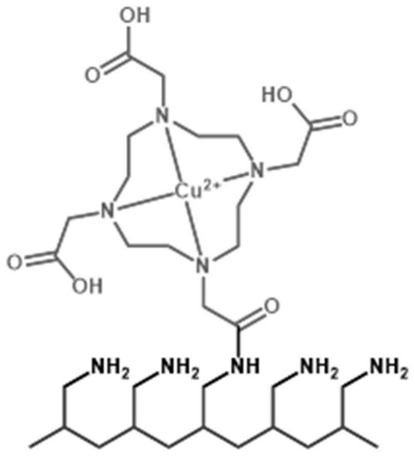 Preparation method of amino-rich conversion coating, functional material and application