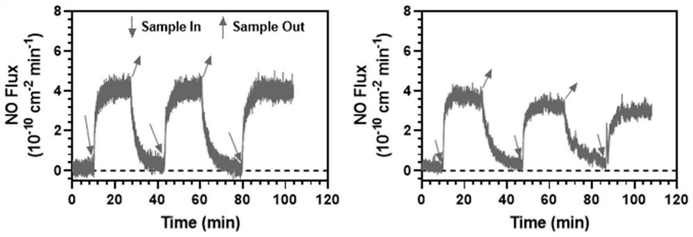 Preparation method of amino-rich conversion coating, functional material and application