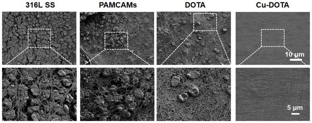 Preparation method of amino-rich conversion coating, functional material and application