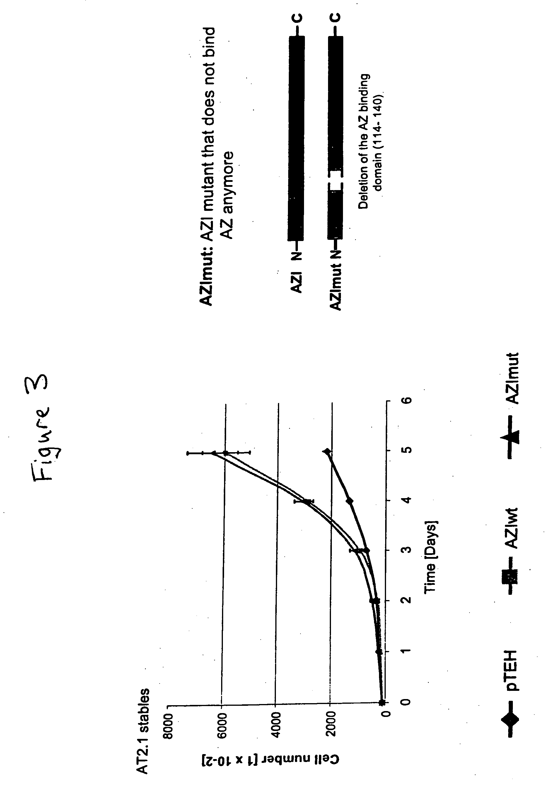 Methods for the treatment, diagnosis, and prognosis of cancer