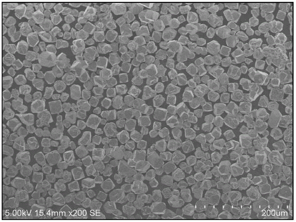 Red fluorescent powder, preparation method thereof and light-emitting device