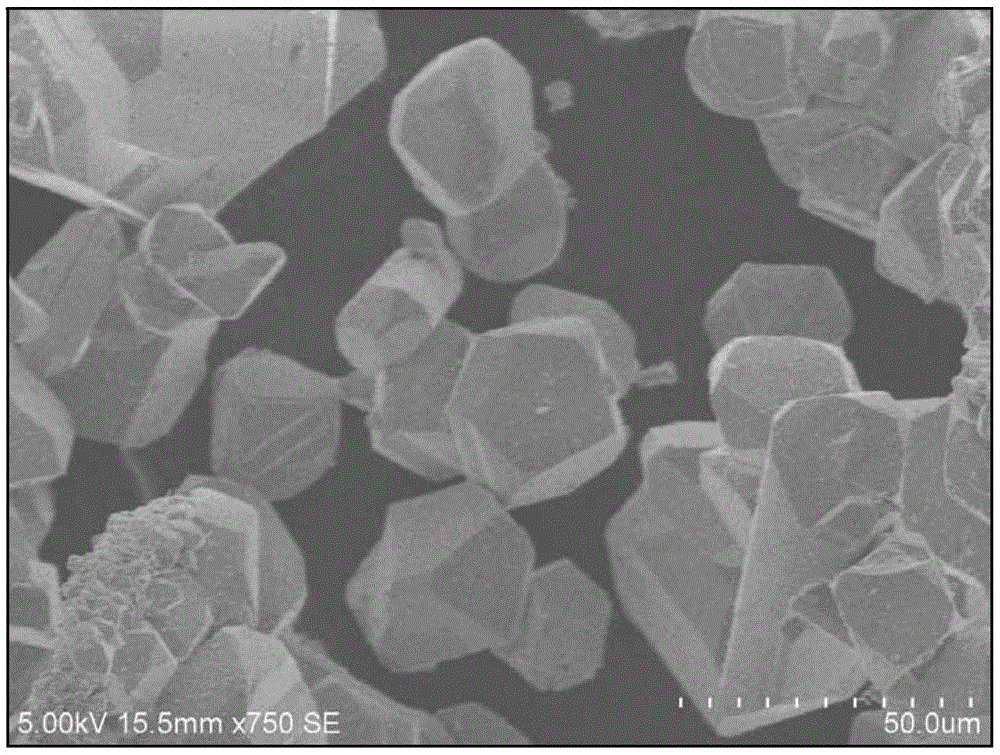 Red fluorescent powder, preparation method thereof and light-emitting device