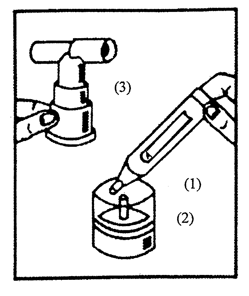 Albuterol and ipratropium inhalation solution, system, kit and method for relieving symptoms of chronic obstructive pulmonary disease