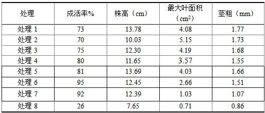 Method for culturing potato virus-free test-tube plantlets in water culture mode