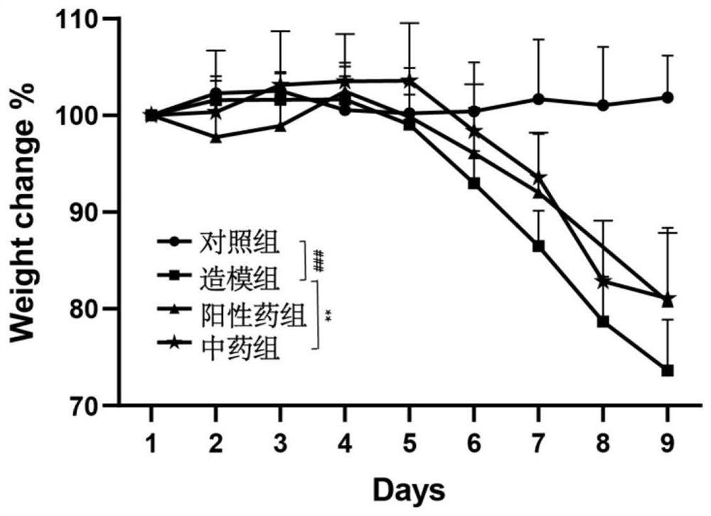 Application of water extract of fenxin wood in preparation of medicine for treating ulcerative colitis