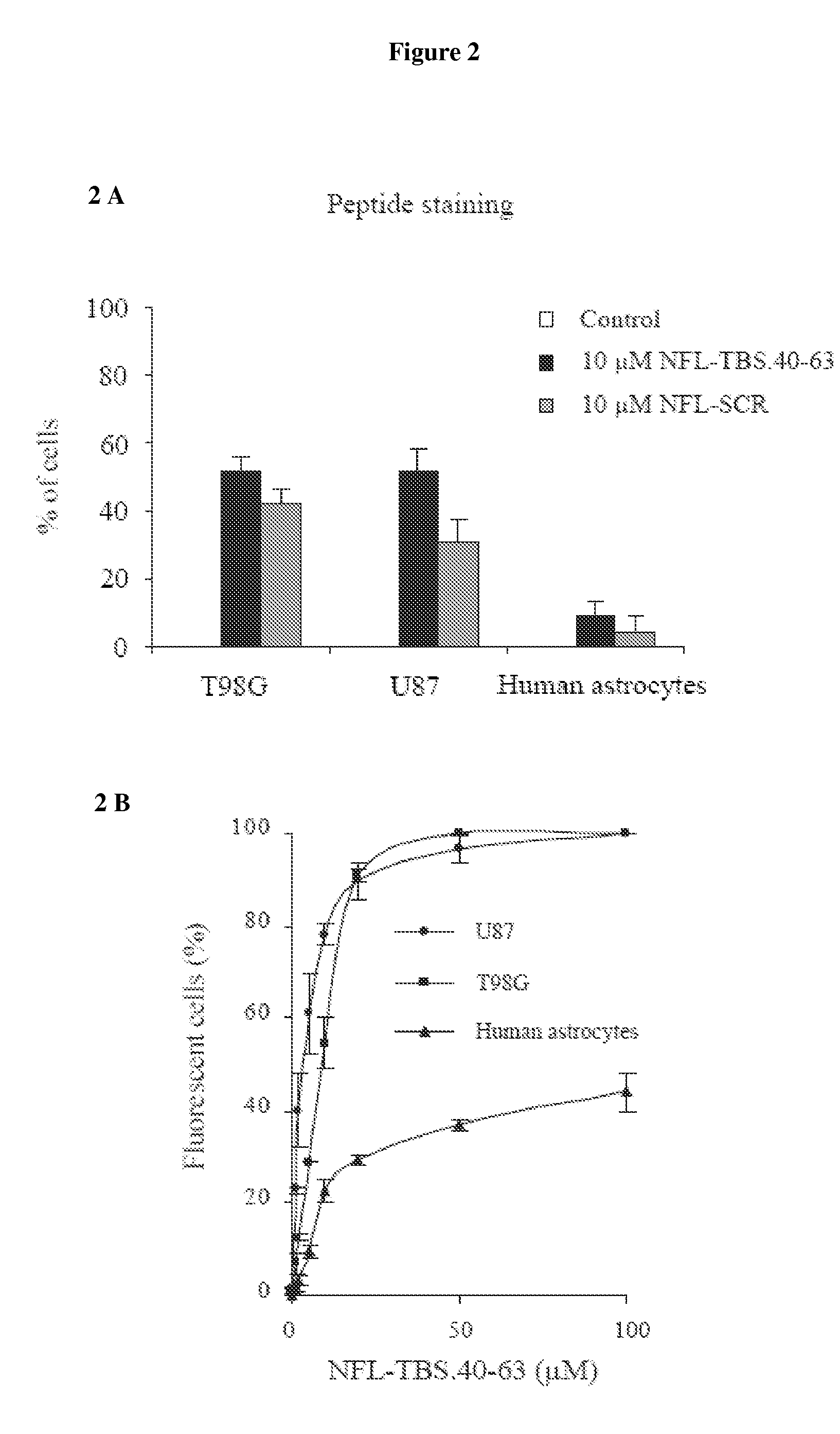 Use of a neurofilament peptide for the treatment of glioma