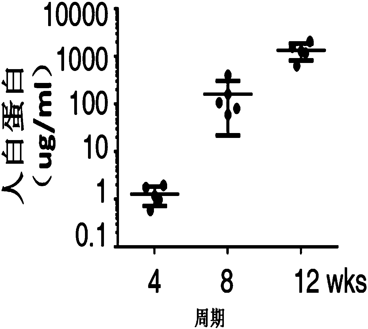 New application of immunodeficient mice model