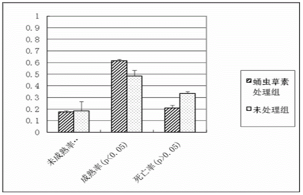 Application of cordycepin in in-vitro maturation culture of oocytes of small pig follicles