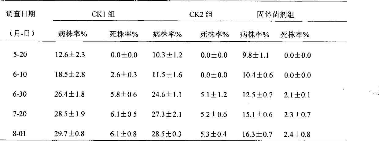 Microbial inoculum for preventing and curing fungal diseases of plants