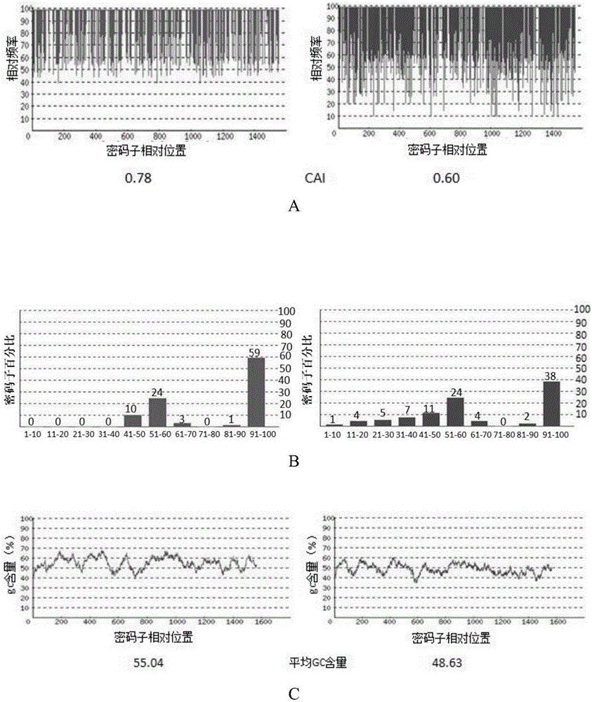 Codon optimized severe fever with thrombocytopenia syndrome virus (SFTSV) glycoprotein Gn gene sequence carrying tPA signal peptide and nucleic acid vaccine thereof