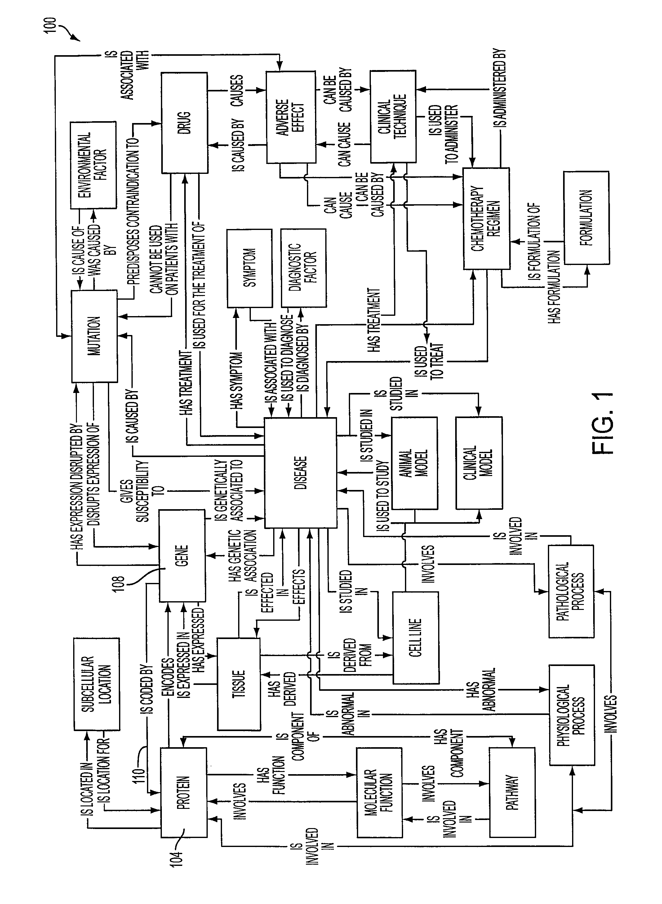 Creating a multi-relational ontology having a predetermined structure