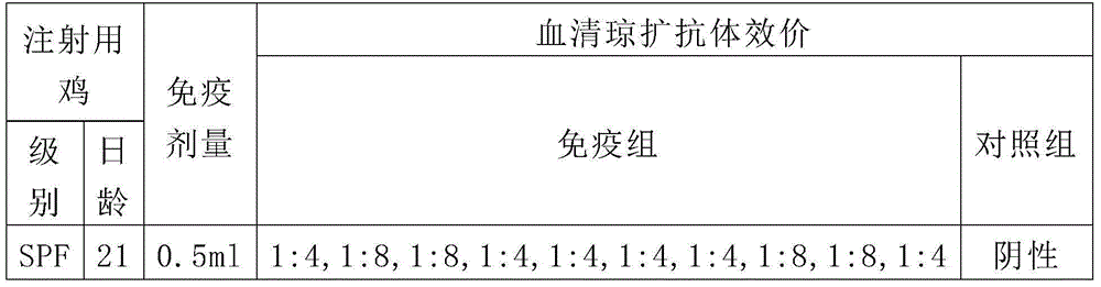 Muscovy duck parvovirus inactivation vaccine and application thereof