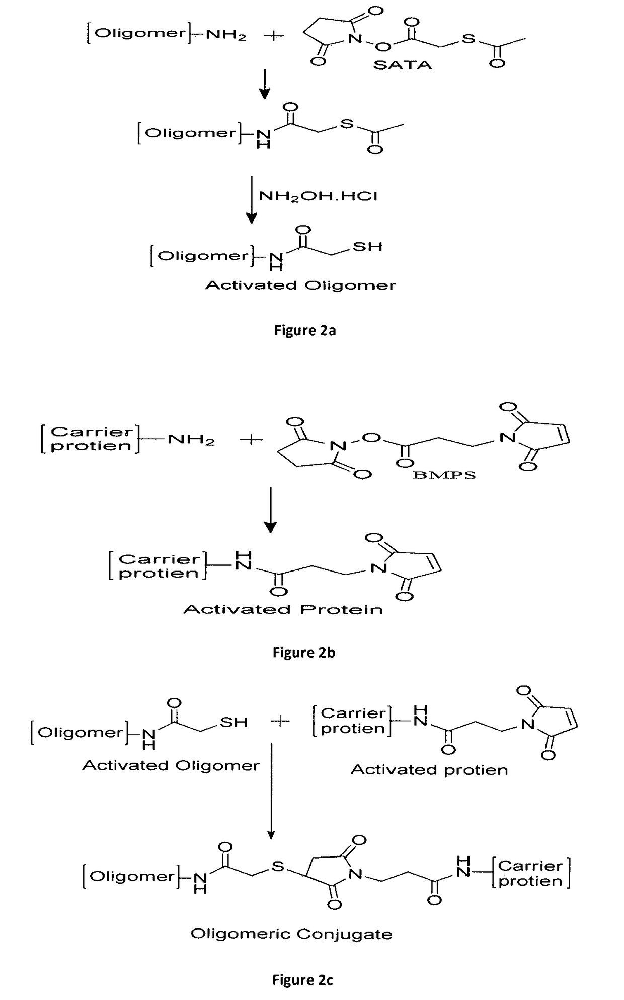 Process of conjugation and novel synthetic oligosaccharide-protein conjugates obtained thereof