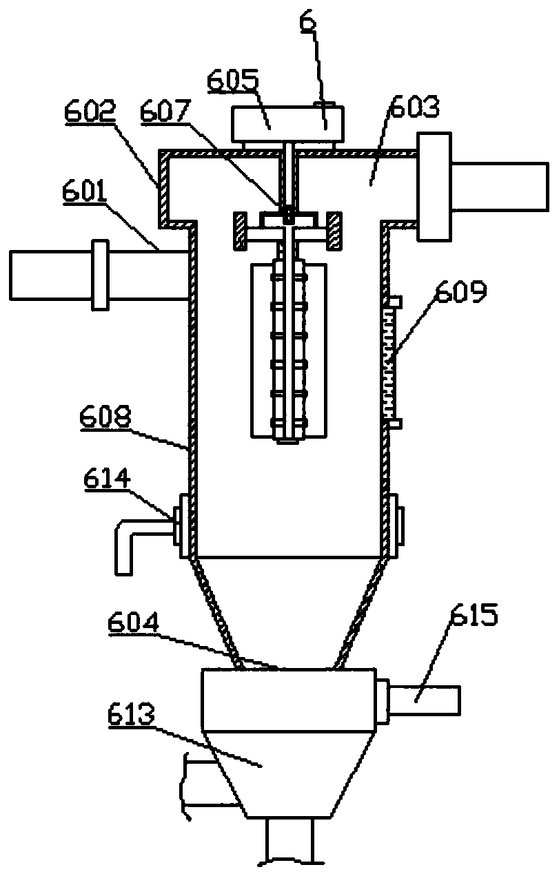 A reforming device for burning biomass in a circulating fluidized bed coal-fired boiler