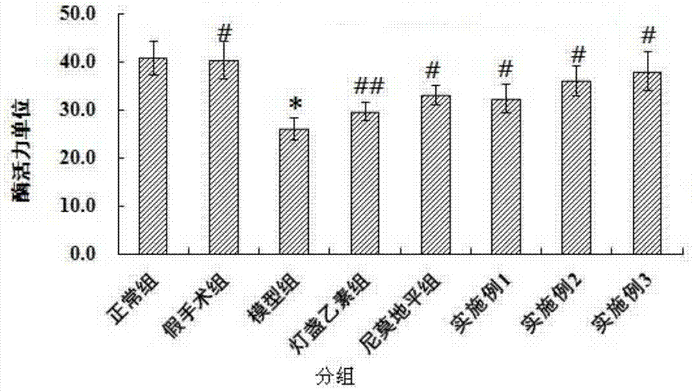 A kind of medicine for the prevention and treatment of ischemic stroke and its preparation method