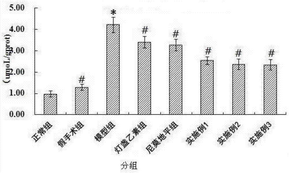 A kind of medicine for the prevention and treatment of ischemic stroke and its preparation method