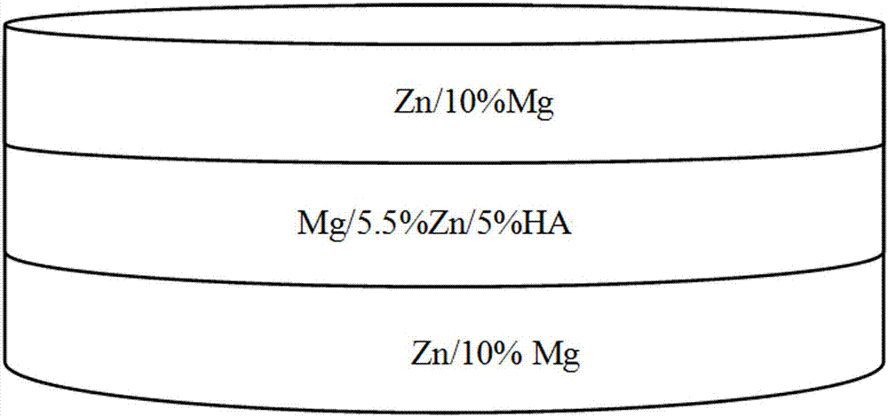 Preparing method of zinc magnesium function gradient biological composite