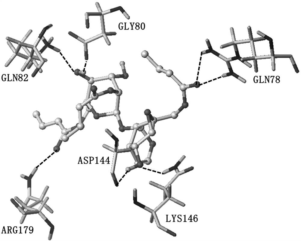 A kind of crotonylated catalpol derivative and its preparation method and application