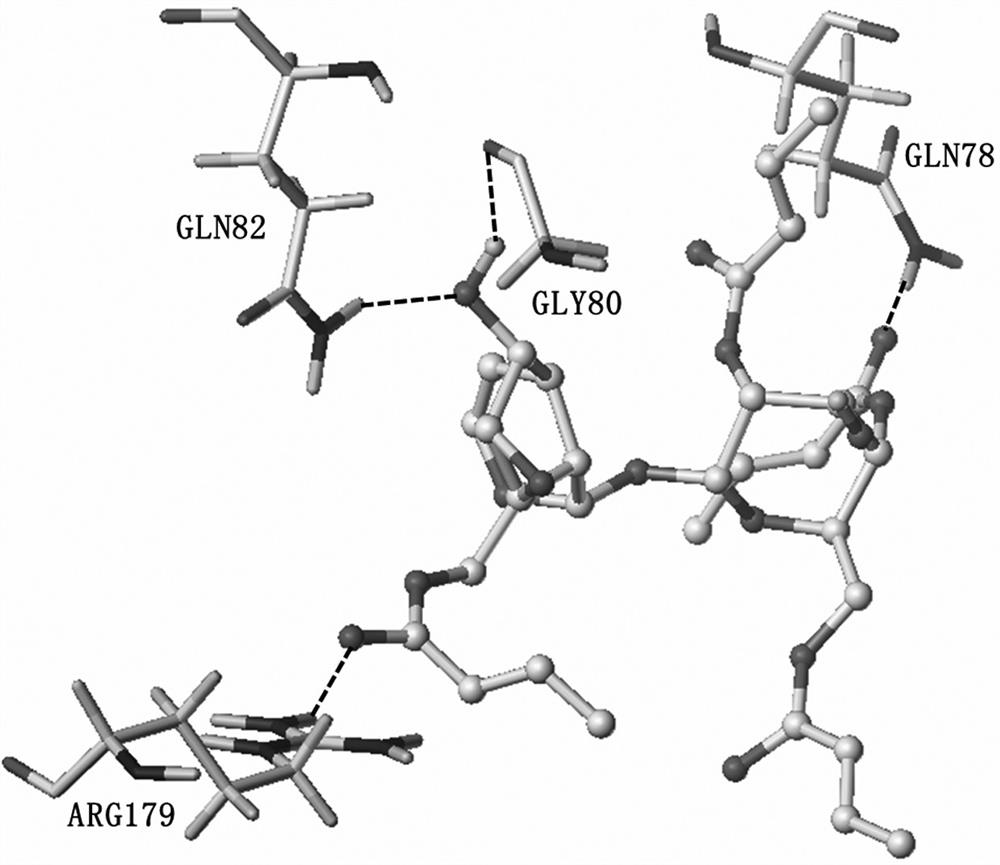 A kind of crotonylated catalpol derivative and its preparation method and application