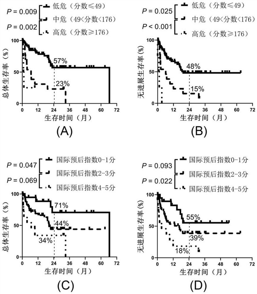 Application of tumor mutation load detection reagent based on circulating tumor DNA in preparation of kit for predicting T cell lymphoma prognosis