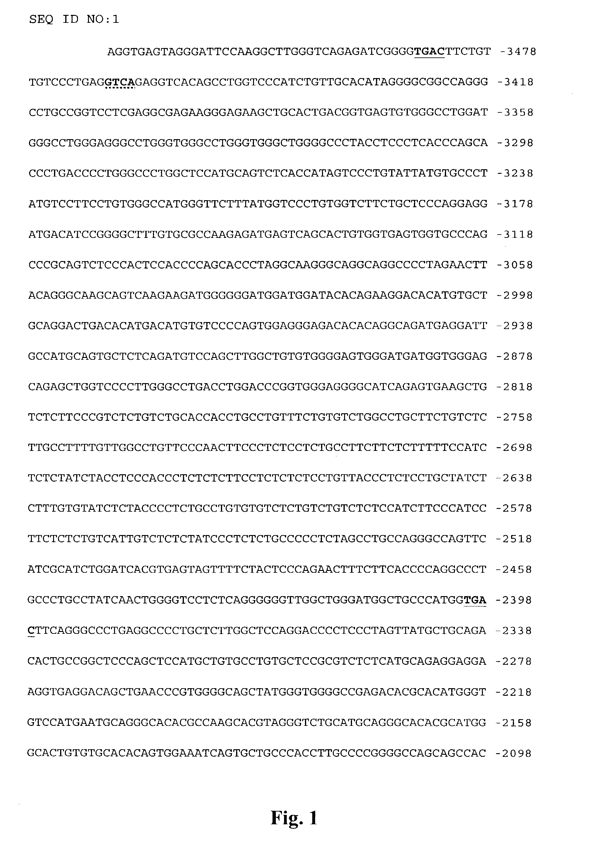 Promoter sequences for urocortin II and the use thereof