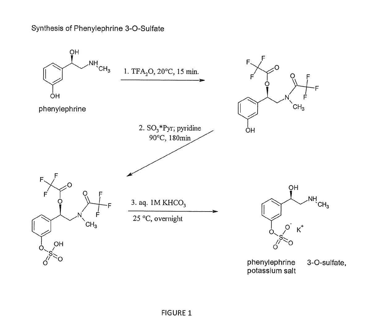 Selective metabolic approach to increasing oral bioavailability of phenylephrine and other phenolic bioactivities