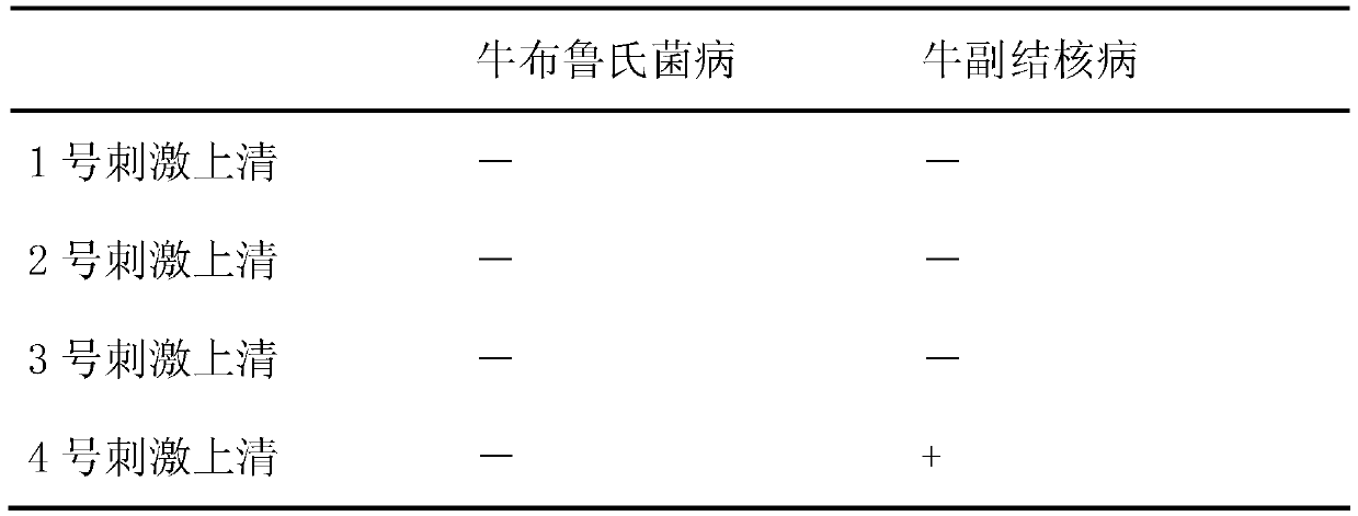 Bovine brucellosis and bovine tuberculosis bivalent test strip detection card