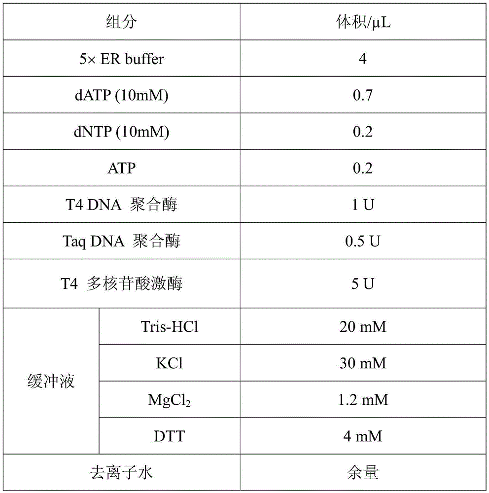 Method for performing DNA terminal repair/dA addition by adopting one-step method and application