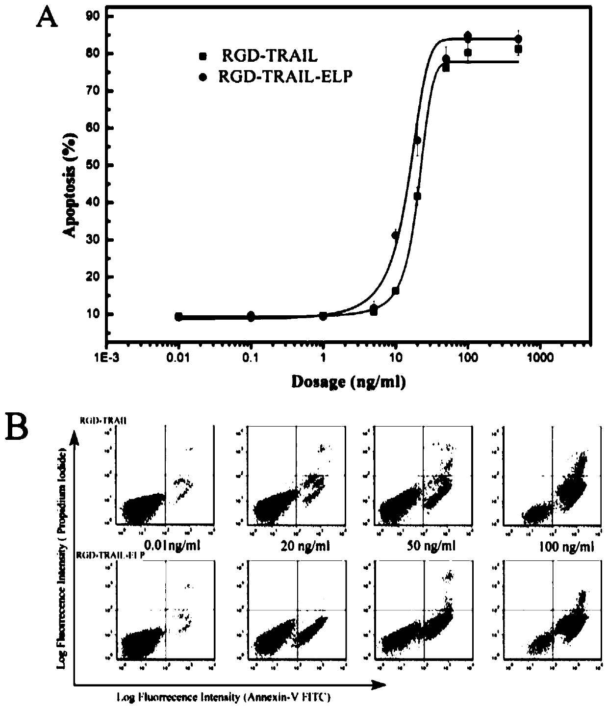 A fusion protein containing tumor necrosis factor-related apoptosis-inducing ligand, its preparation method, and nanoparticles self-assembled by the protein