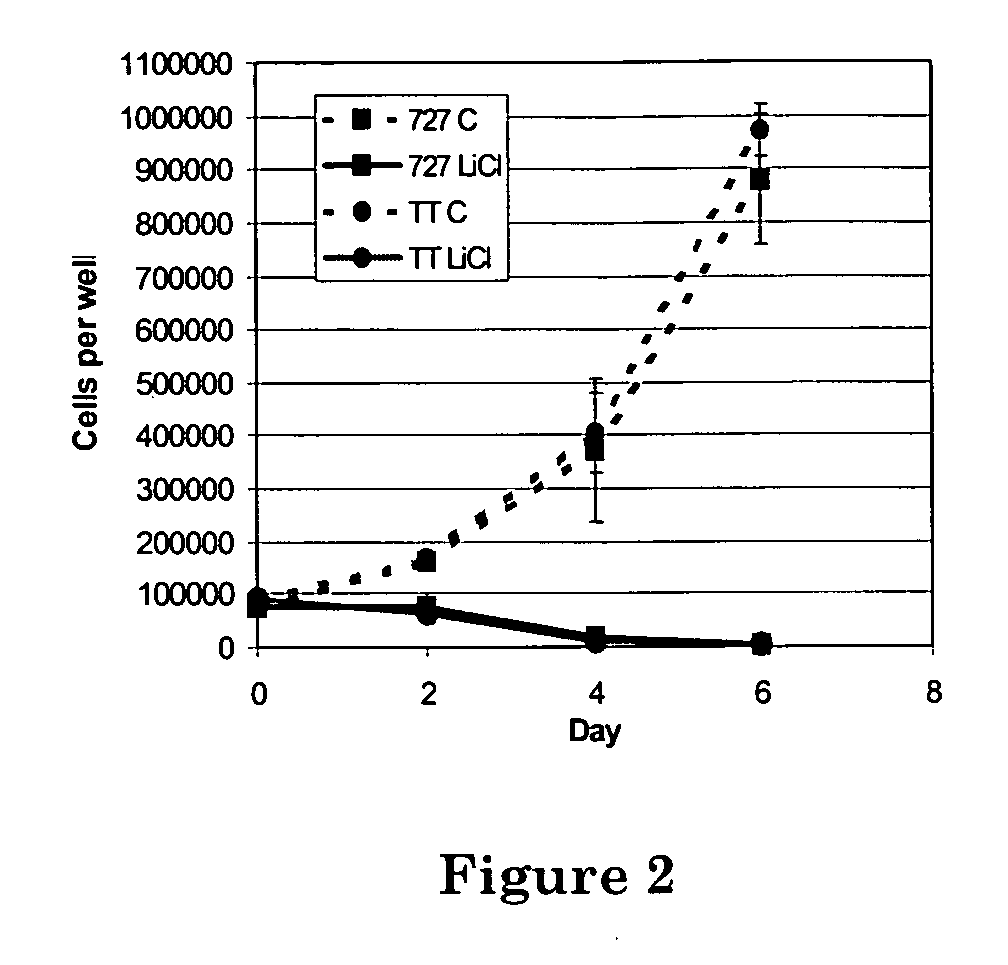 Compositions and methods for treating neuroendocrine tumors