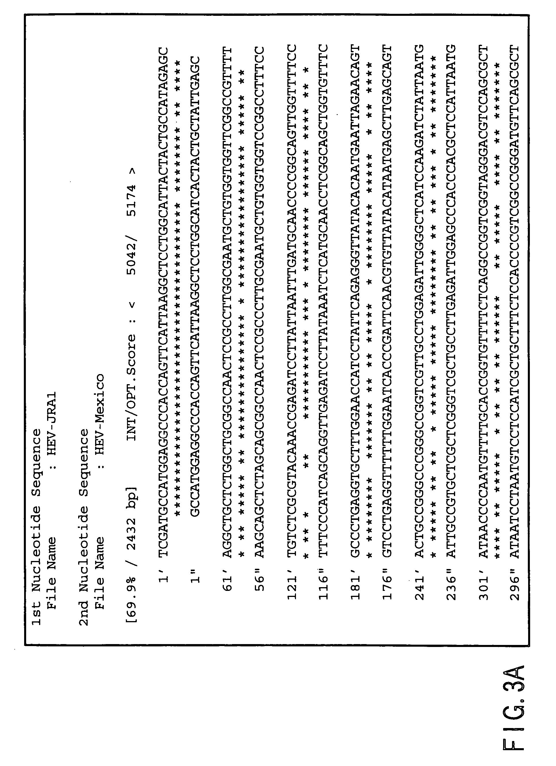 Polynucleotide probe and primer originating in hepatitis e virus of japanese, chips having the same, kits having the same and method of detecting hepatits e virus using the same