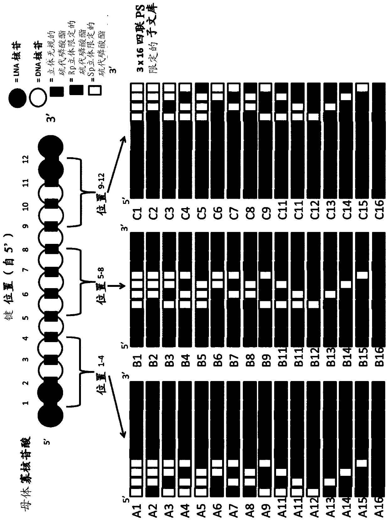 Methods for identifying improved stereodefined phosphorothioate oligonucleotide variants of antisense oligonucleotides utilising sub-libraries of partially stereodefined oligonucleotides