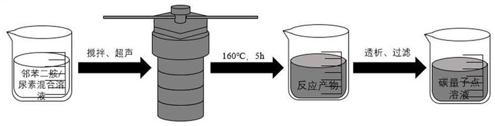 Preparation method and application of carbon quantum dot/chitosan derivative hydrogel with light-stress dual response