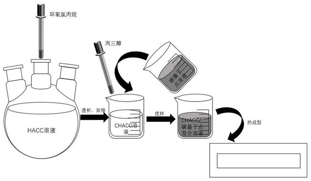 Preparation method and application of carbon quantum dot/chitosan derivative hydrogel with light-stress dual response