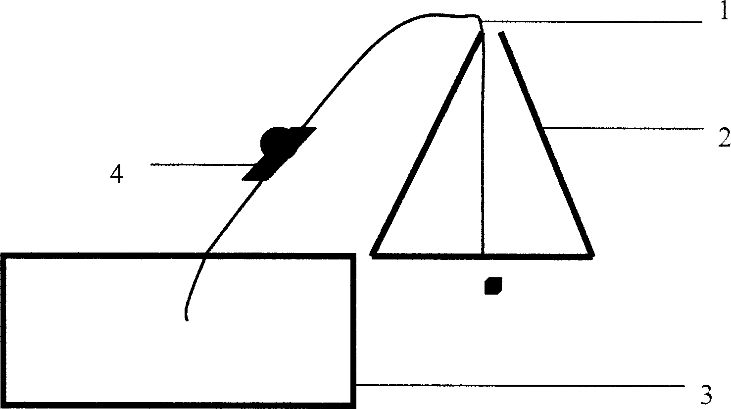 Complete artificial method for breeding Ciona and simple continuous bait scattering device