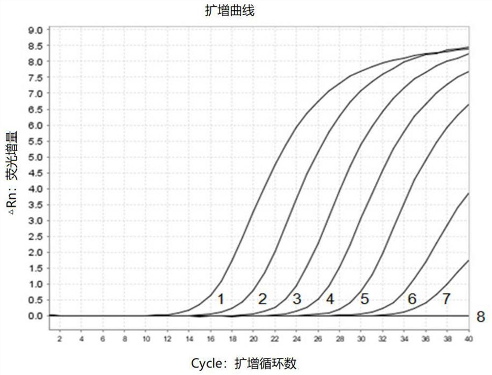 Dual real-time fluorescent quantitative detection method for carp edema virus and koi herpes virus