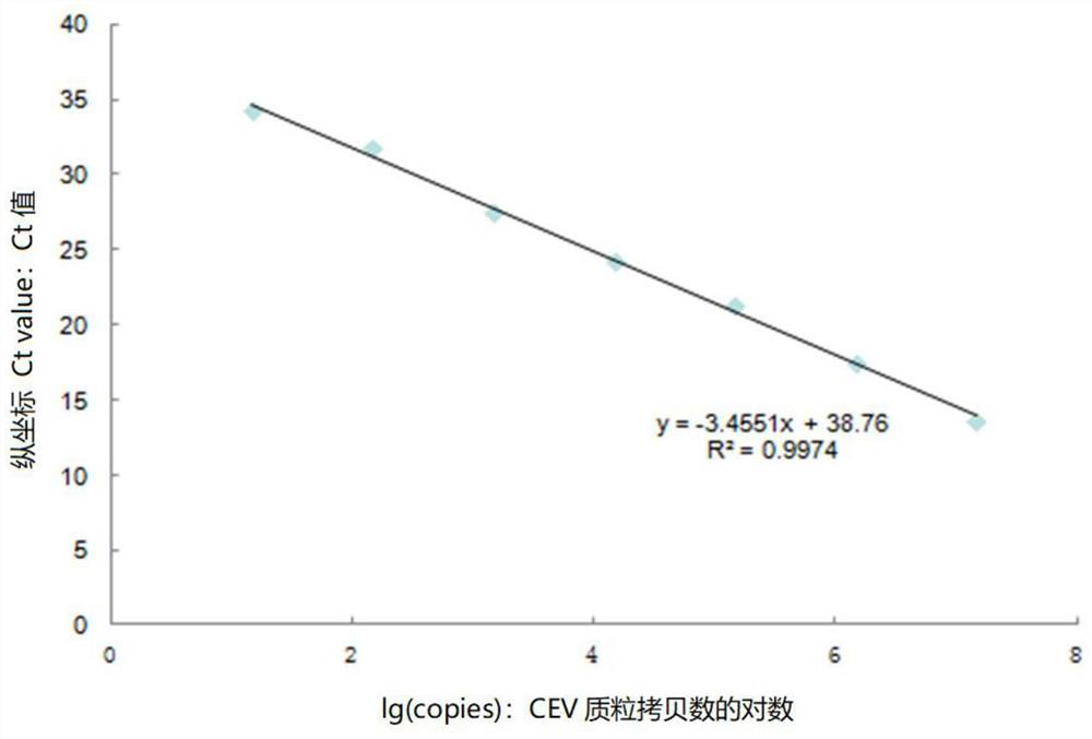 Dual real-time fluorescent quantitative detection method for carp edema virus and koi herpes virus