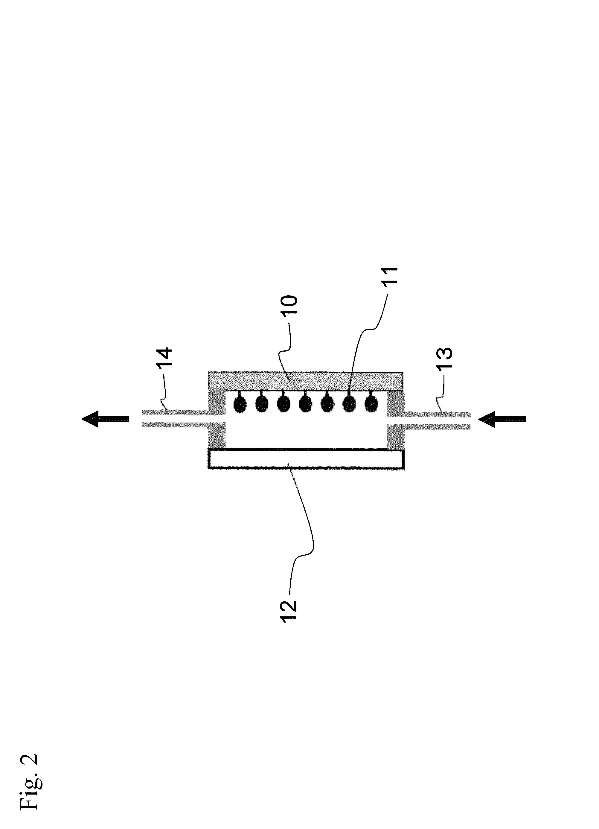 Detection and analysis system for protein array