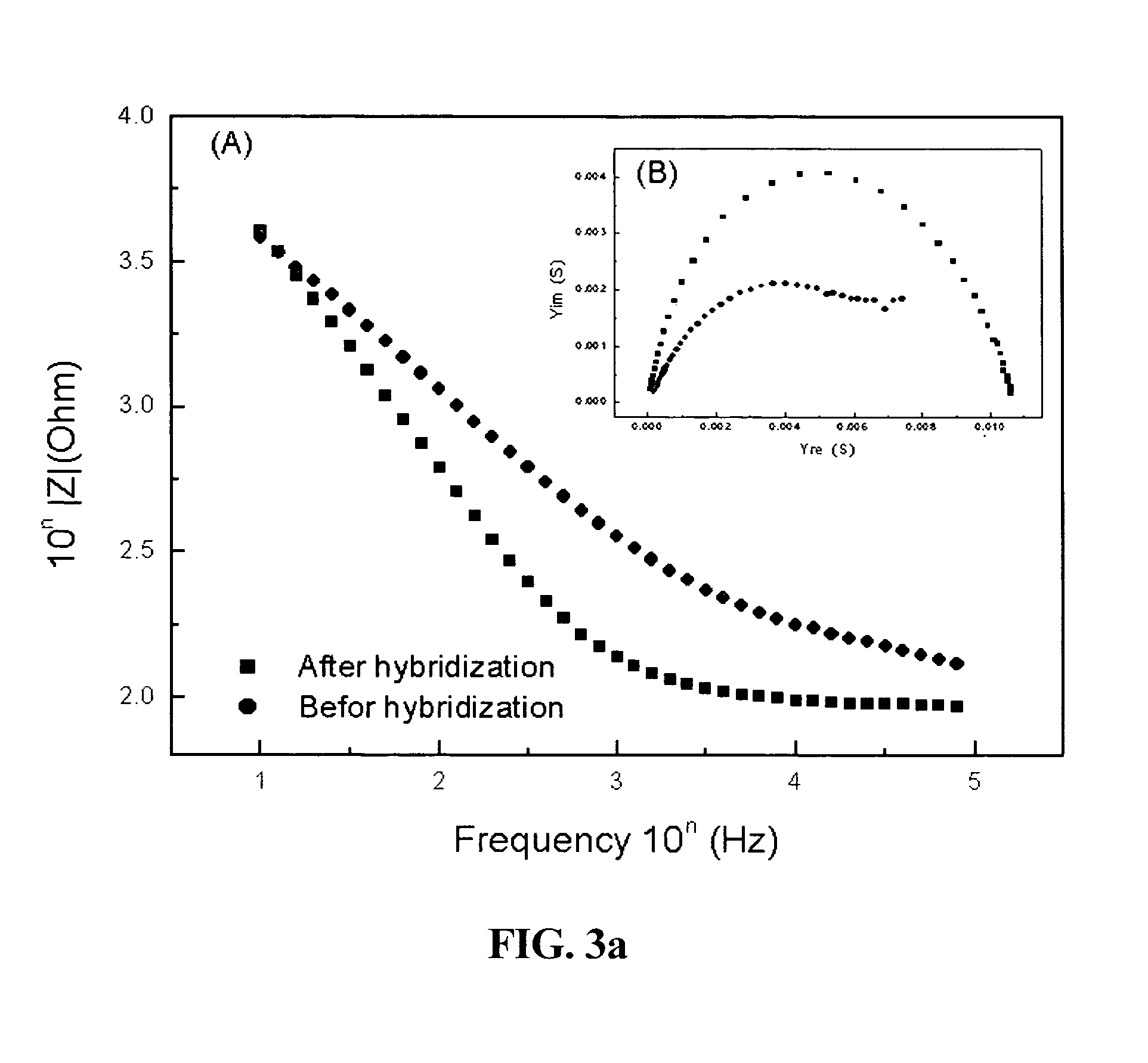 Novel terthiophene-3-carboxylic acid compound and fabricating method thereof, functionalized conductive terthiophene polymer with the compound as a monomer, process for dna hybridizatioon detection using the polymer, and fabricating method of probe dna