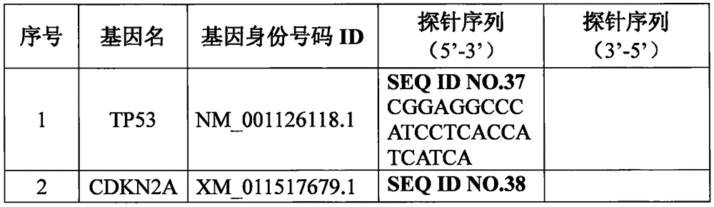 Set of genes for head and neck squamous cell carcinoma (HNSCC) molecular typing and application thereof