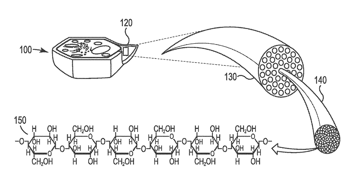 System for co-firing coal and beneficiated organic-carbon-containing feedstock in a coal combustion apparatus