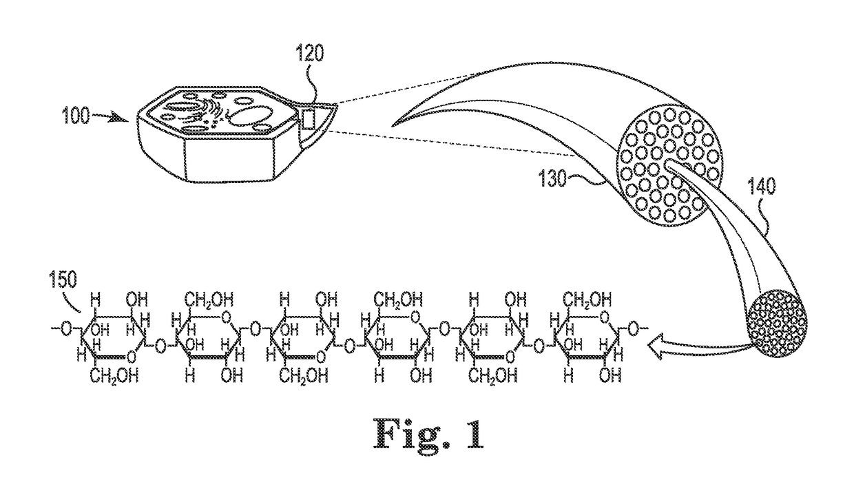 System for co-firing coal and beneficiated organic-carbon-containing feedstock in a coal combustion apparatus