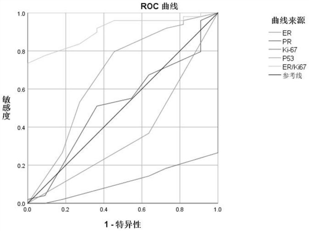 Application of ER and Ki-67 expression ratio in EC and AH retention fertility function treatment prognosis