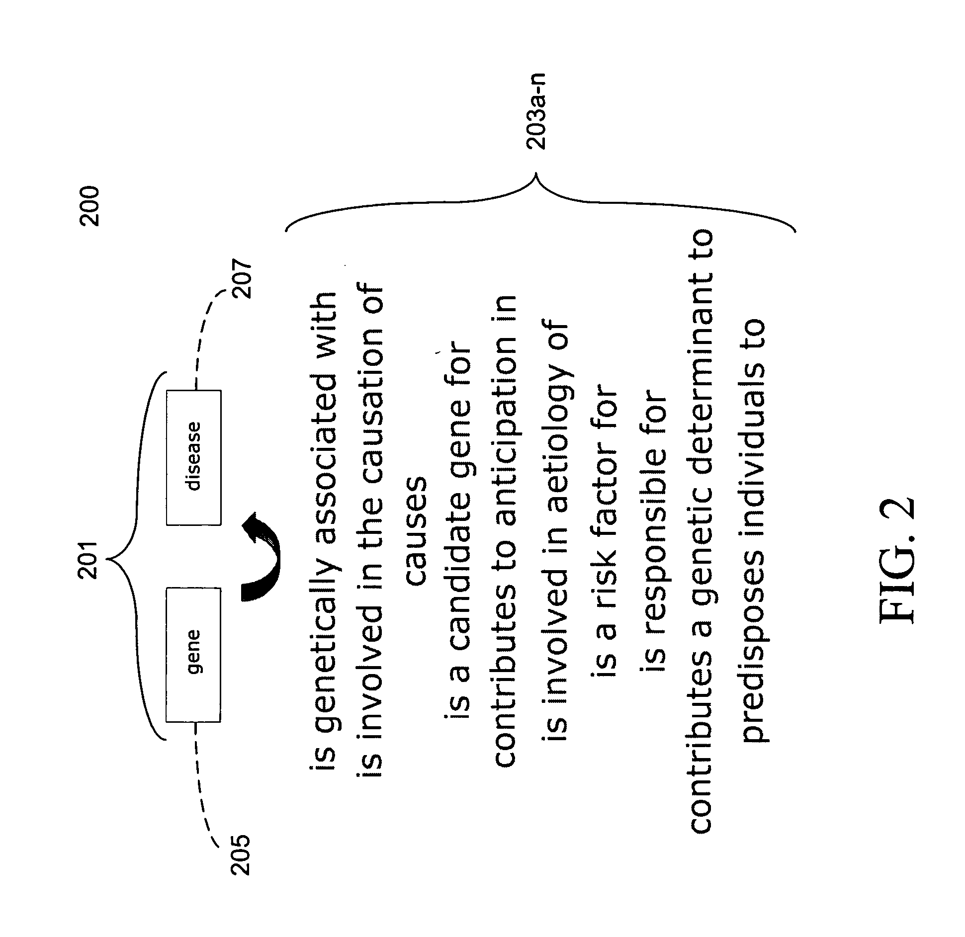 System and method for creating, editing, and using multi-relational ontologies